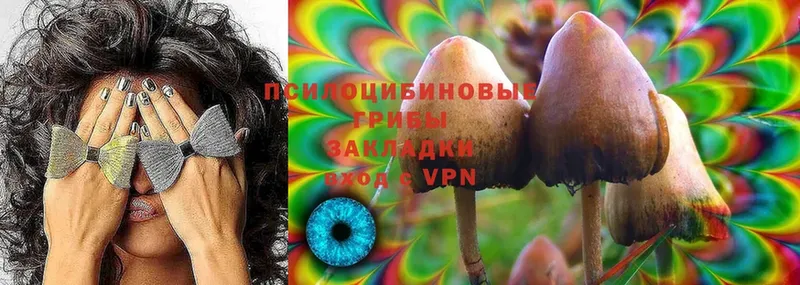 Галлюциногенные грибы MAGIC MUSHROOMS  Дзержинский 